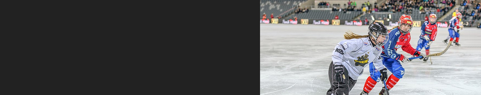 Ice Hockey Helmet